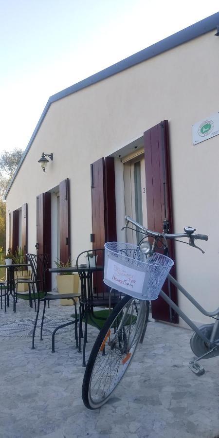 Agriturismo Honey Farm Piazzola sul Brenta Esterno foto