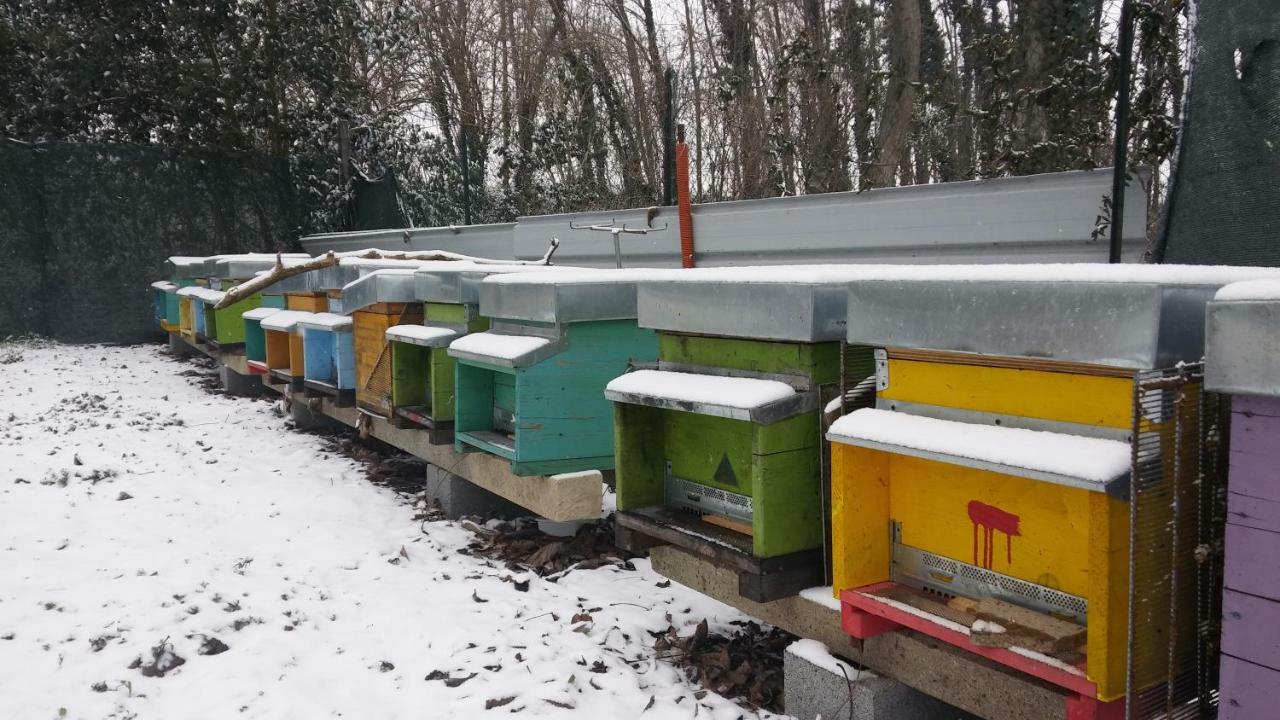 Agriturismo Honey Farm Piazzola sul Brenta Esterno foto